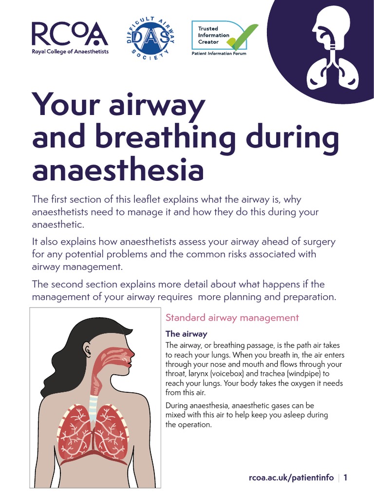 Your Airway and Breathing During Anaesthesia PDF Anesthesia