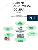 Cadena Epidemiologica - Cólera