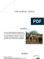 RABIA Y DISTOMATOSIS EN GANADO