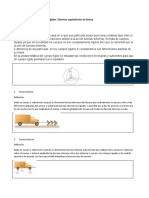 Tarea 5 Cuerpos Rigidos