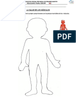 Ficha de Aplicacion Los Musculos PDF