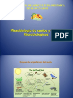 Microorganismos de Montaña