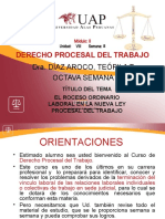 Derecho Procesal Del Trabajo, Proceso Ordinario Laboral II