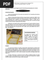 Download Agarose Gel Electrophoresis by AyioKun SN47859850 doc pdf
