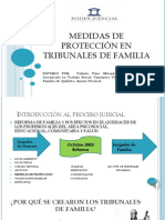 Vulneración de Derechos en Tribunales de Familia