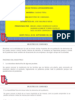 Muestreo de Confianza PDF