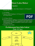 Klasifikasi Luka Bakar