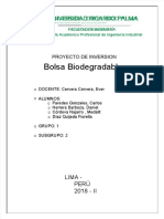 PDF Proyectos de Inversion Fiorella Diaz DL