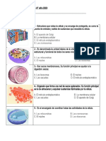 Evaluación Ciencias Naturales 8°: Membrana Celular, Núcleo y Organelos