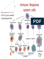Immune Response System: Cells