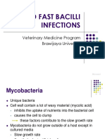 Bakteri Tahan Asam FNA PDF