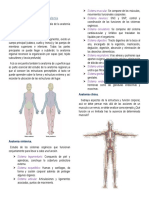 COMPILADO ANATOMÍA.pdf