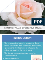 Anatomy of Female Reproductive Organs