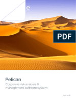 Pelican ERM Software Executive Overview