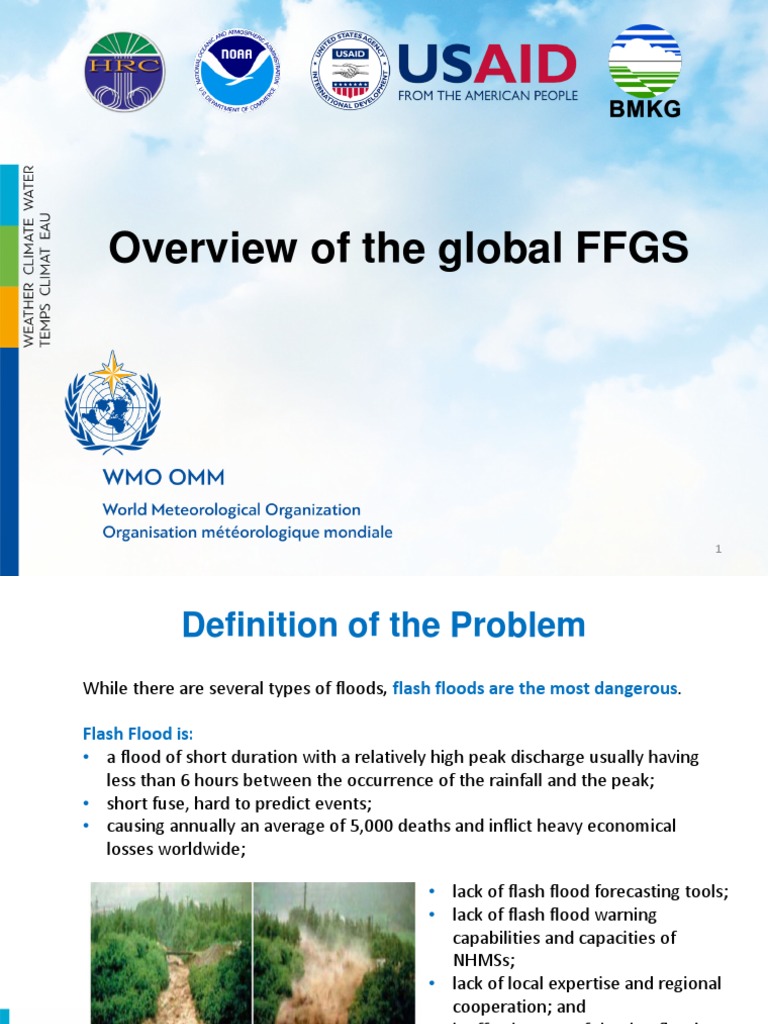 Global Flash Flood Guidance System Overview | PDF | Flood | Physical ...