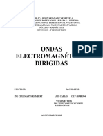 INFORME_ ONDAS ELECTROMAGNETICAS DIRIGIDAS ( LUIS CARIAS 30980954)