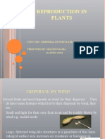 Reproduction in Plants