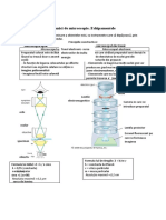 Biocel LP 2.1