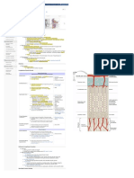 Endochondral Bone Formation - Basic Science - Orthobullets PDF