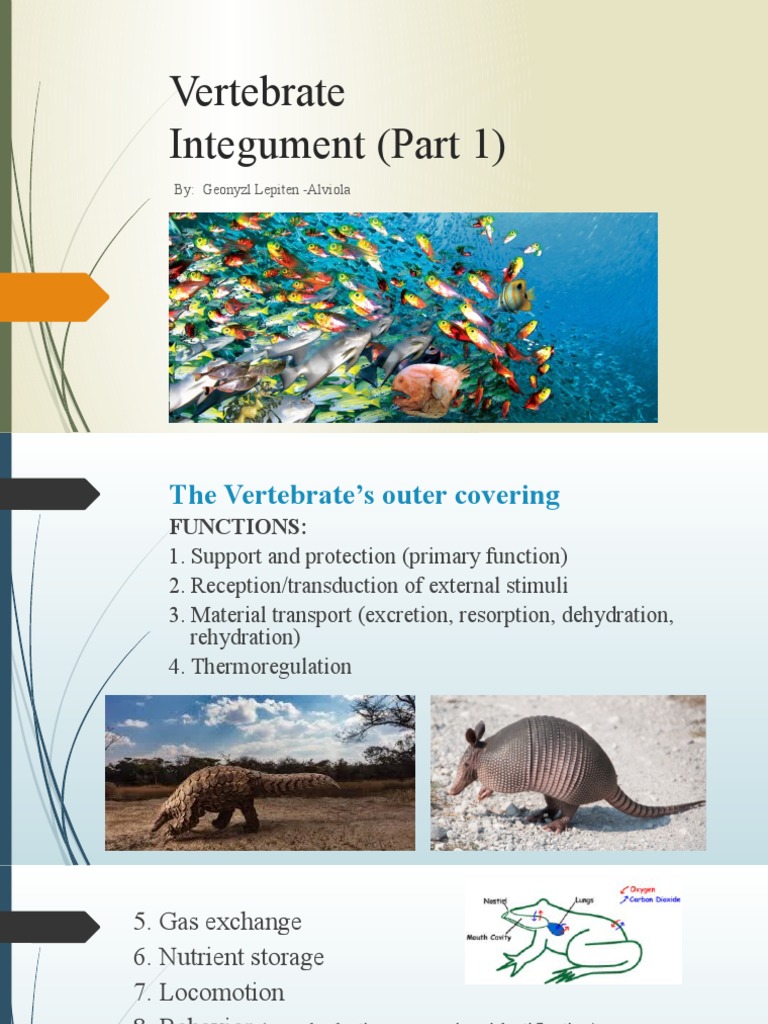 Integument Fish | PDF