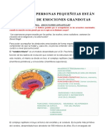 GESTION DE EMOCIONES DE NNA