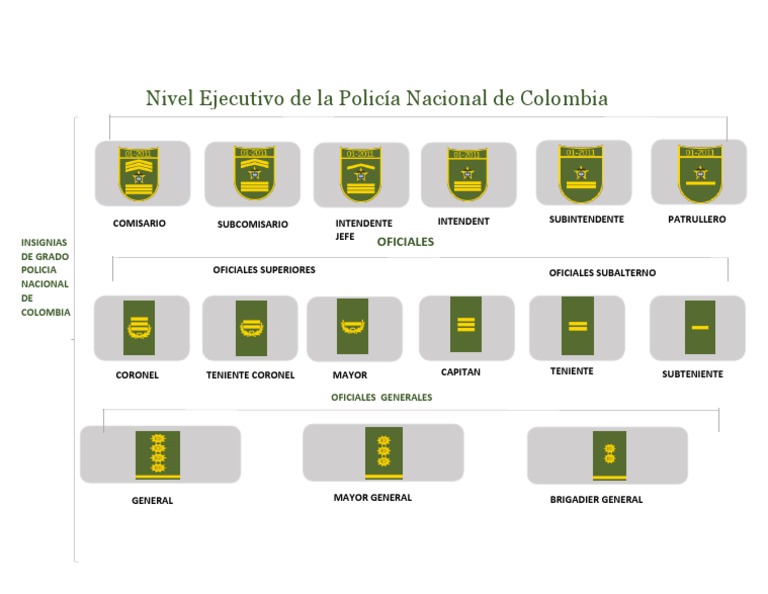Rangos e Insignias de la Policía Nacional | PDF