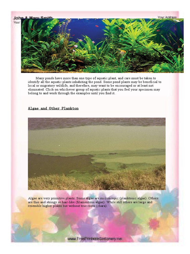 Aquatic Plants PDF Plants Aquatic Organisms