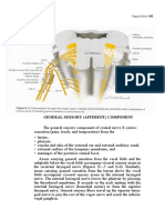 General Sensory (Afferent) Component: Vagus Nerve 185