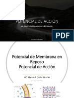 Potencial de Acción PDF