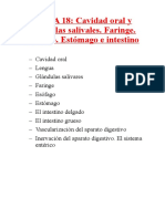 T18. Cavidad oral y glándulas salivales. Faringe. Esófago. Estómago e intestino.pdf