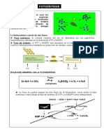Fotosíntesis.doc