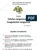 1.1-SISTEMA SANGUINEO-zootecnia