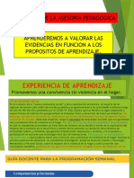 ASESORIA SOBRE EVIDENCIAS Final