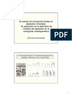 12 00 Korzeniewski - Inclusiones Fluidas PDF