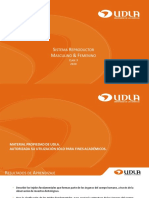 Clase 3 Sistema Reproductor Masculino & Femenino - 202020 PDF