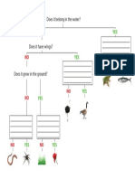 Animalflowchart 2