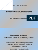 Curs_7_Neurologie.