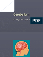 CSK4 Cerebellum PPT