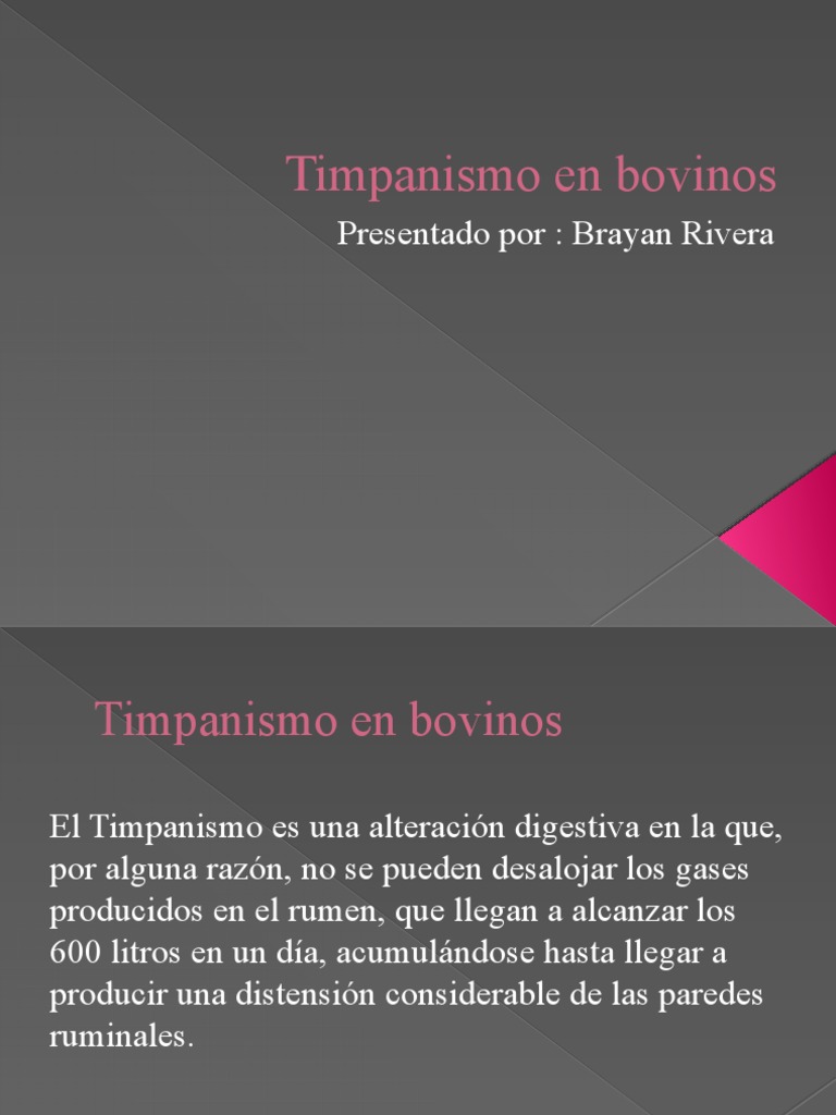 Timpanismo en Bovinos PDF