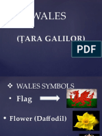 Wales: (Țara Galilor)