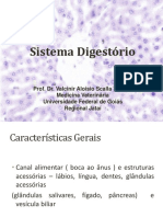 Sistema Digestório Exer Isadora PDF