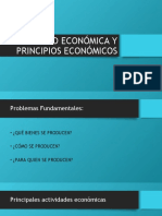 Actividad Económica y Principios Económicos