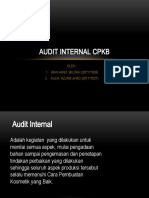 Audit Internal CPKB