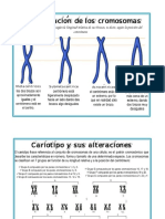 clase 5 Genética Mendeliana en humanos.pdf