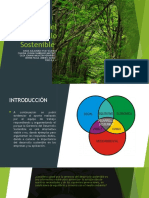 Gerencia Del Desarrollo Sostenible Eje 4