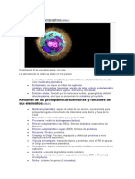 Estructura y elementos