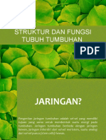 (STRUKTUR DAN FUNGSI TUBUH TUMBUHAN)