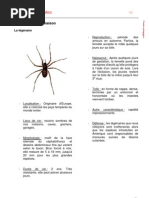 Download Araignes quotidien p40-47 by Cap sciences SN47871179 doc pdf