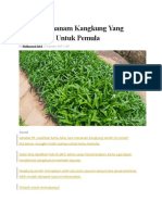 7 Cara Menanam Kangkung Yang Bersahabat Untuk Pemula