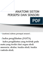 ANATOMI_SISTEM_PERSEPSI_DAN_SENSORI.pptx